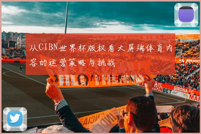从CIBN世界杯版权看大屏端体育内容的运营策略与挑战
