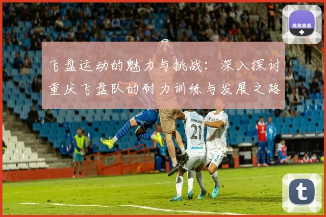 飞盘运动的魅力与挑战：深入探讨重庆飞盘队的耐力训练与发展之路